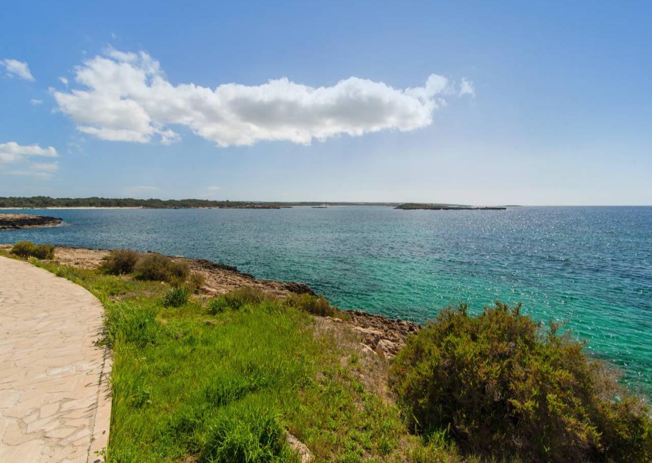 Casa en Ses Salines