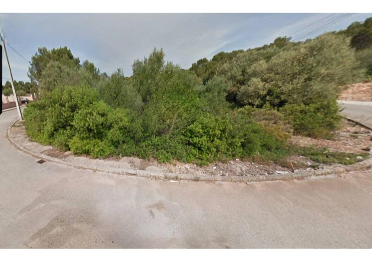 Plot in Palma de Mallorca