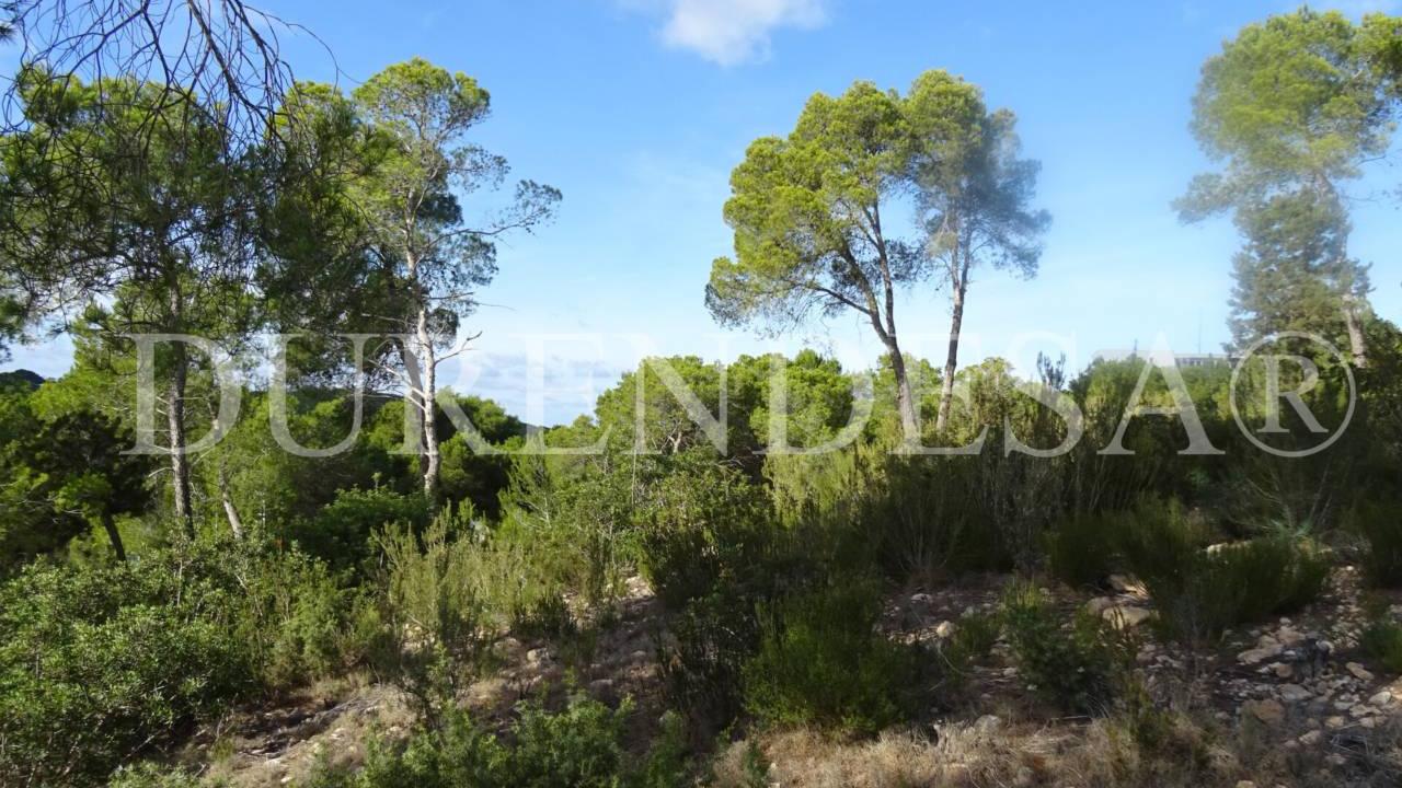 Plot in Sant Joan de Labritja by 800.000€_3