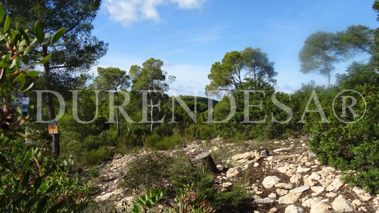Plot in Sant Joan de Labritja by 760.000€_5