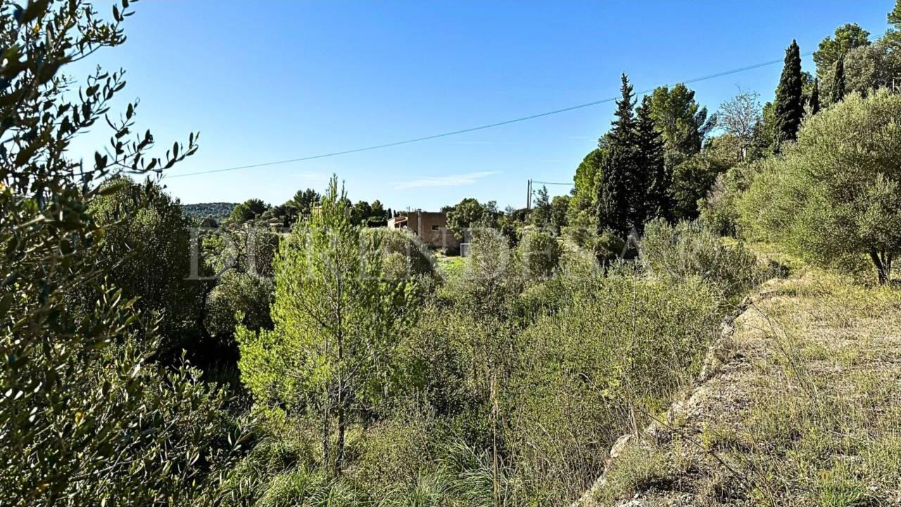 Solar en Puigpunyent por 225.000€_3